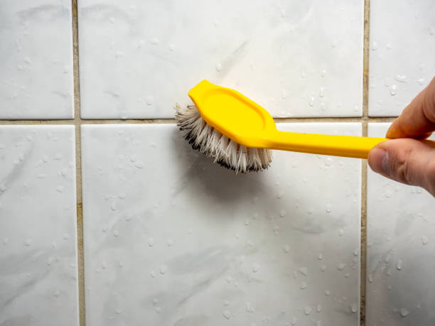 Best Mold Removal Company Near Me  in Bossier City, LA