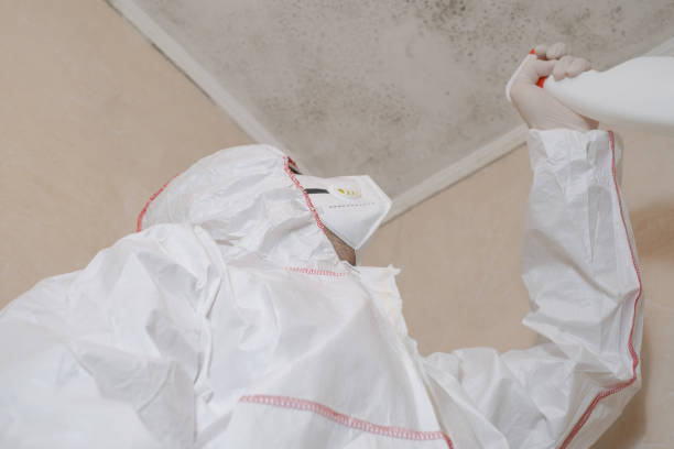 Best Mold Cleaning Services  in Bossier City, LA